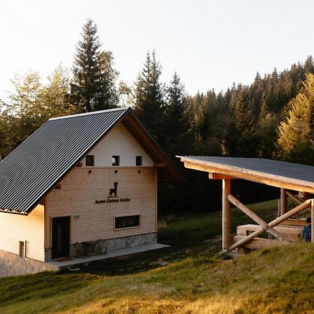 Alpine Cottage Golica Jesenice Exterior foto