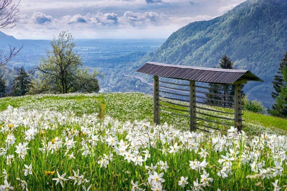 Alpine Cottage Golica Jesenice Exterior foto